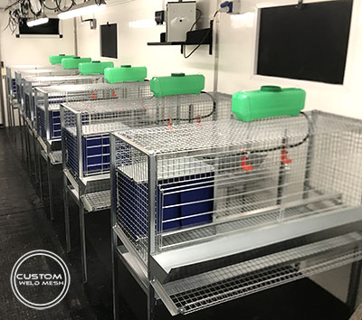 poultry enrichment cages university poultry unit uk made 